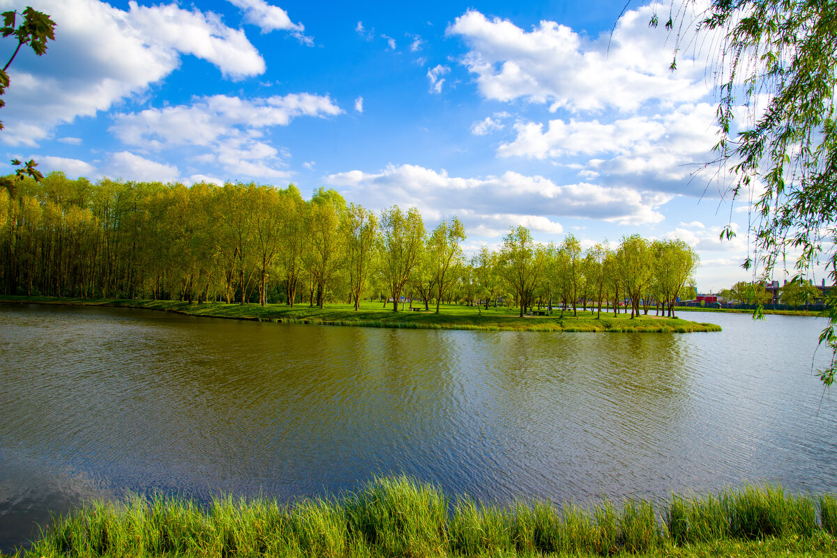 Парк - Андрей Сосновский Парк - Андрей Сосновский