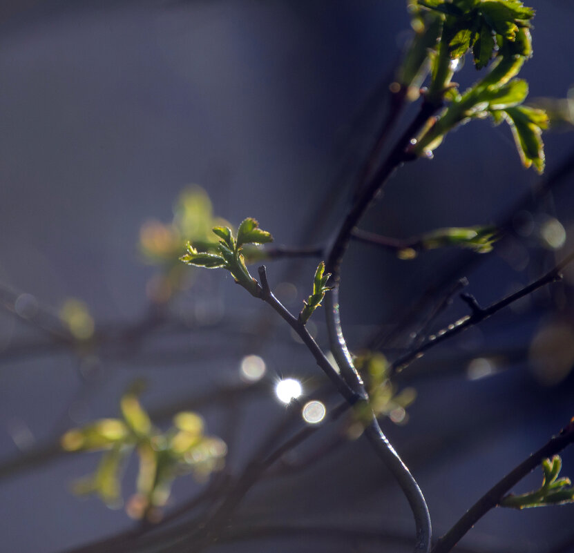 Дыхание Лета - Lyubov Busova