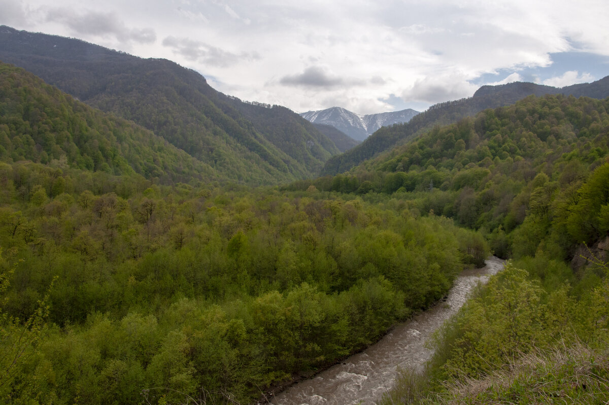 Ассинское ущелье - Gen 