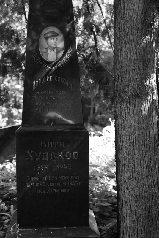 9 - Денис Безногов