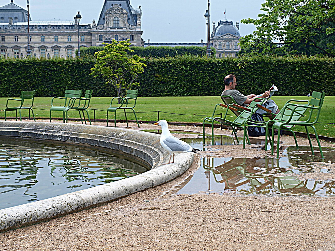 Париж. - Владимир Драгунский Париж. - Владимир Драгунский