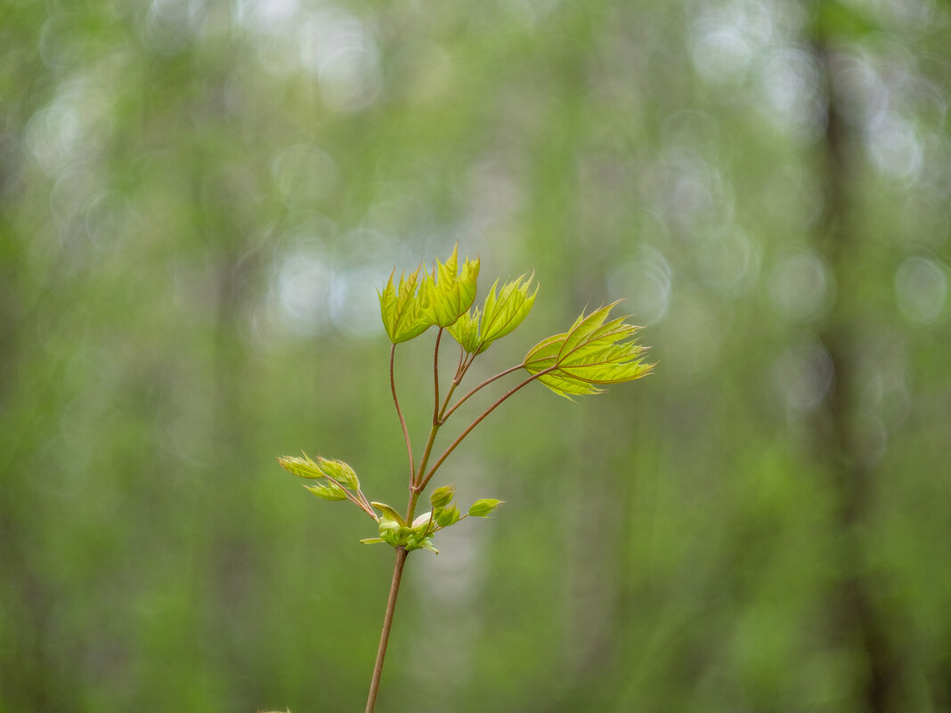 ___ - Yuriy V ___ - Yuriy V