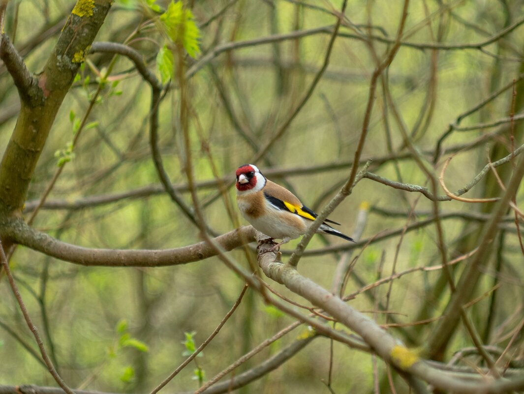 ___ - Yuriy V ___ - Yuriy V