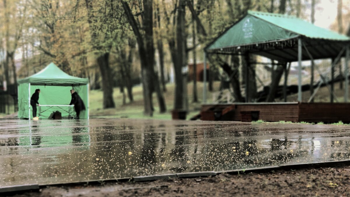 зелень мая - Любовь 