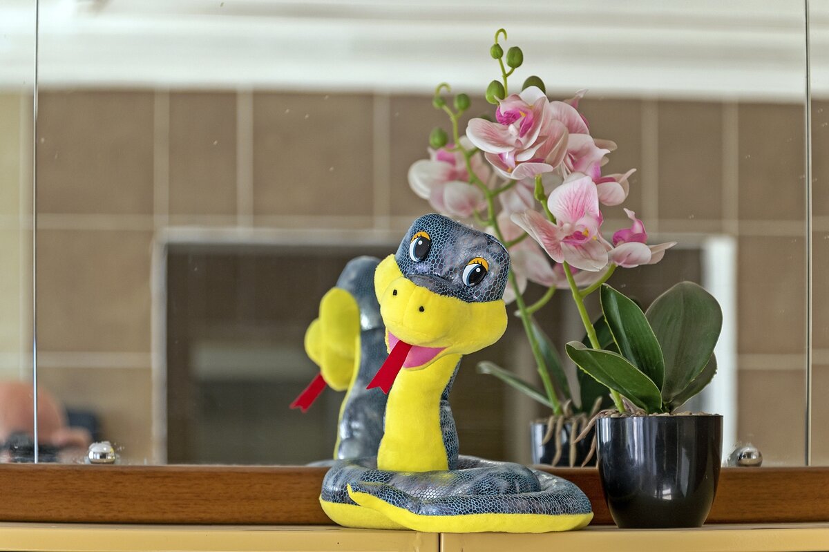 Натюрморт в подъезде - Валерий Иванович