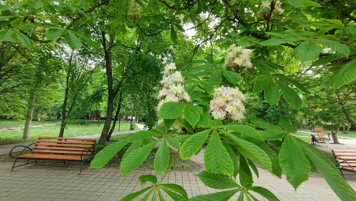 ,,, - Сергей Тимоновский