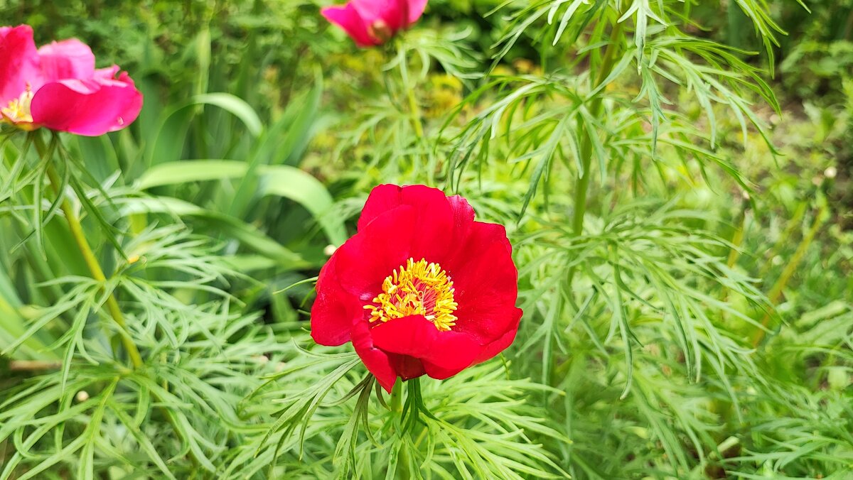 ,,, - Сергей Тимоновский