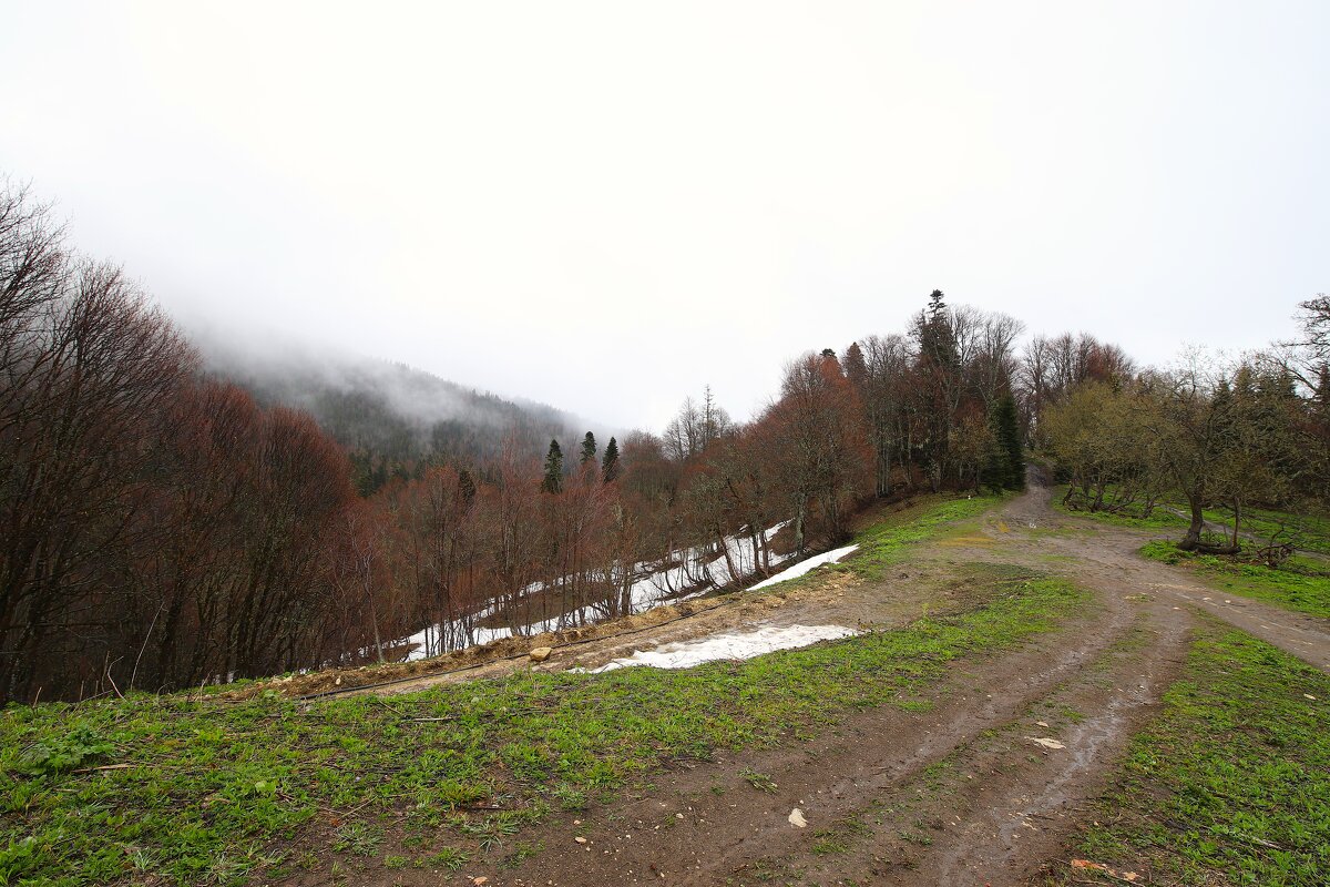 Адыгея, Яворова поляна - Evgeny Mameev Адыгея, Яворова поляна - Evgeny Mameev