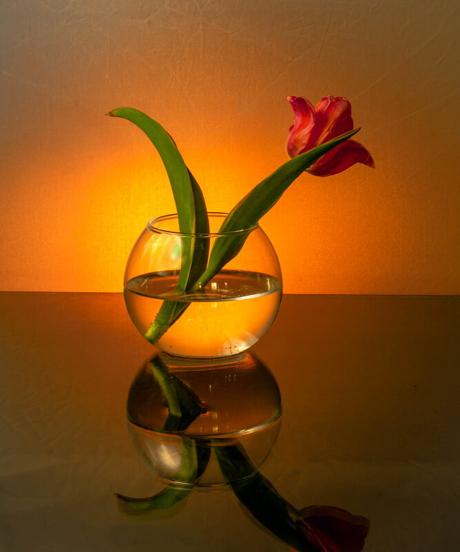 С тюльпаном! - Анатолий Нецепляев