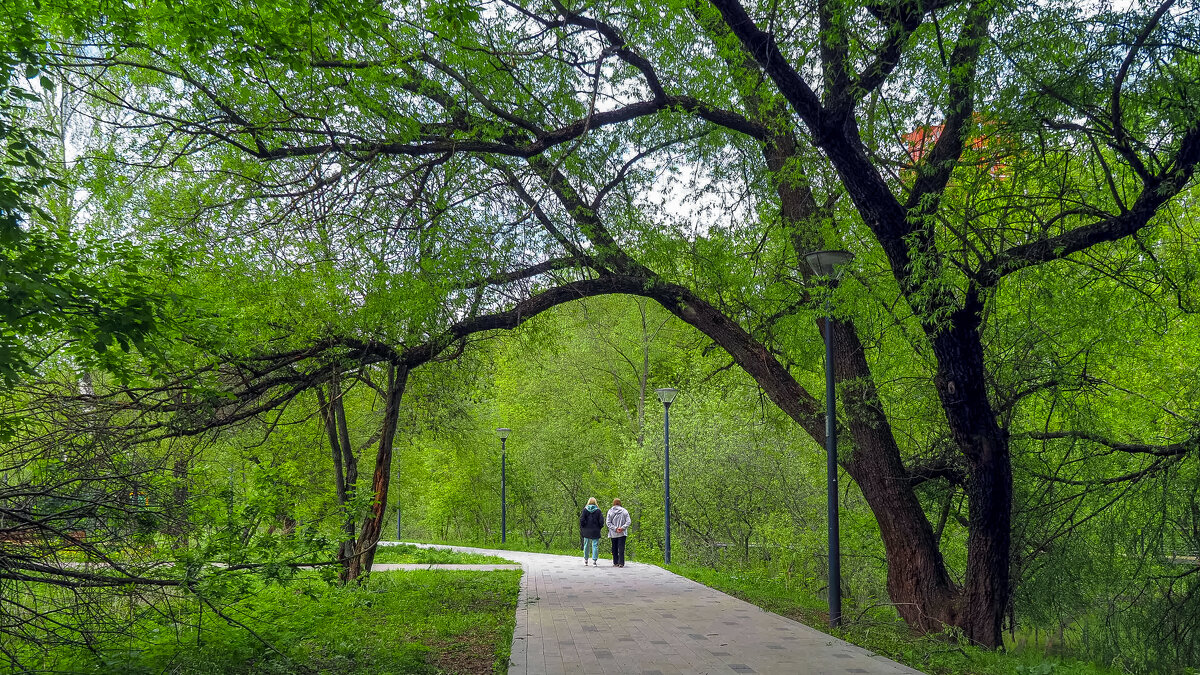 ***** - юрий поляков