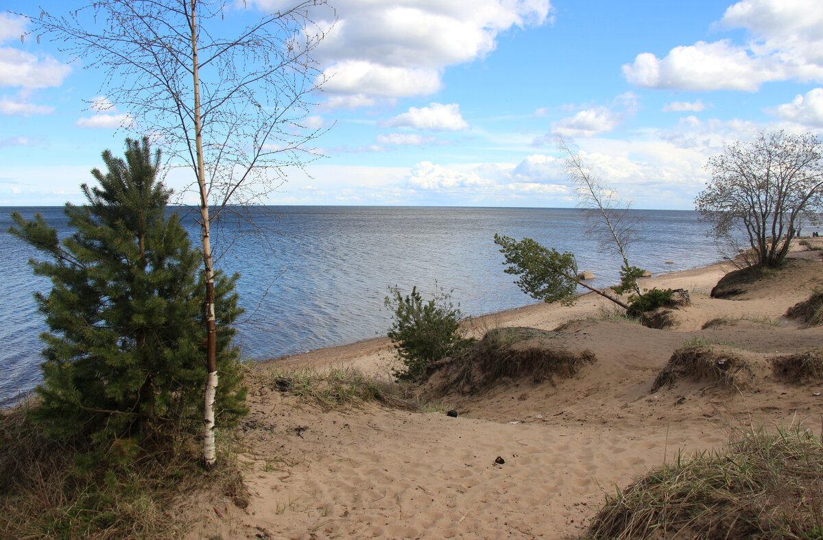 Ладожское Озеро - Наталья Герасимова