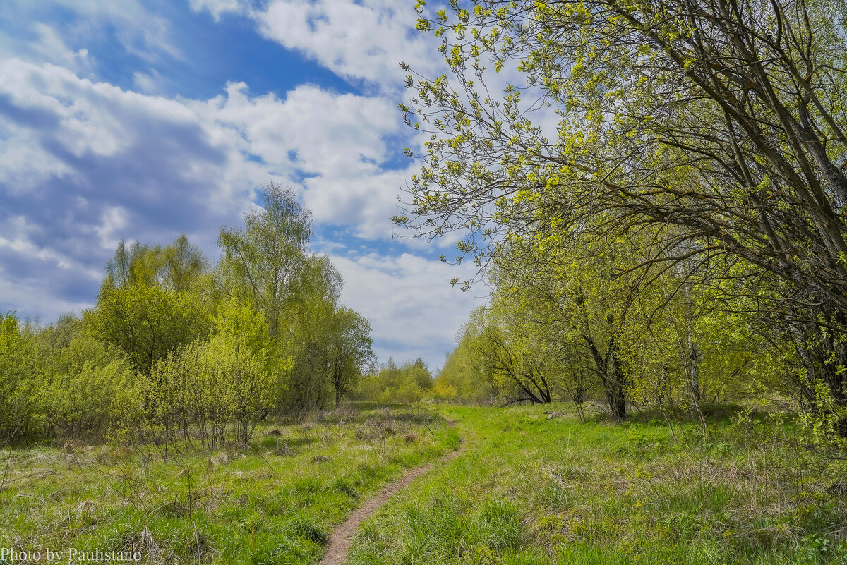 Под небом мая... - Владимир Жданов