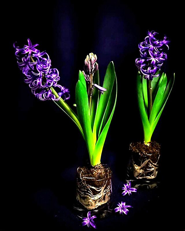 К ПОСАДКЕ ГОТОВЫ - Анатолий Малобродский К ПОСАДКЕ ГОТОВЫ - Анатолий Малобродский