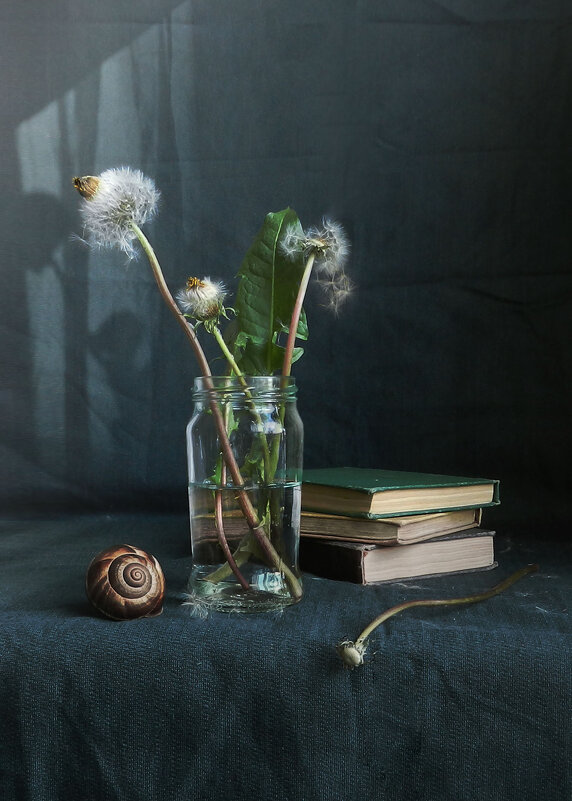 с одуванчиками - Лера 