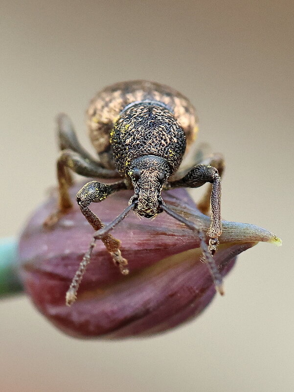 . - Игорь Осипов