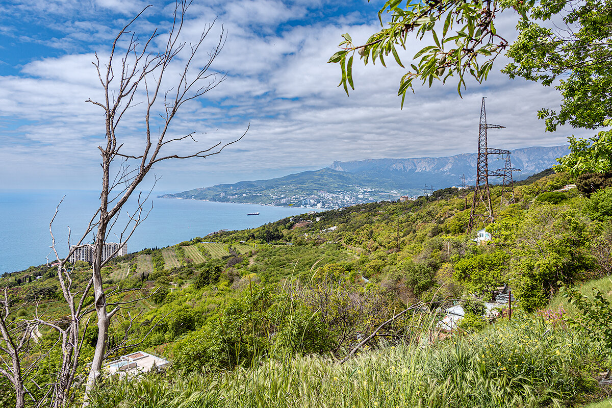 Ай-Тодор, Могаби, Ай-Петри, Крым - Юрий Яловенко Ай-Тодор, Могаби, Ай-Петри, Крым - Юрий Яловенко