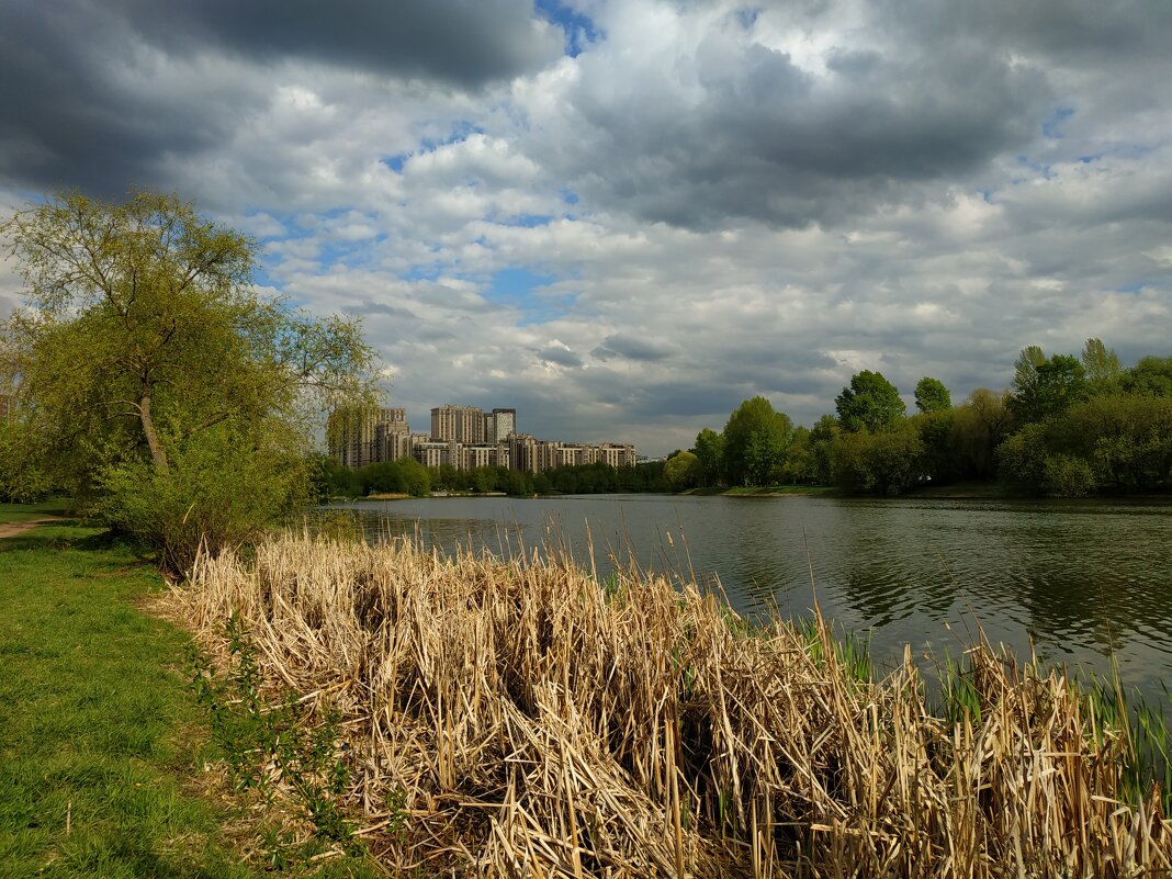 * * * - Андрей Лукьянов