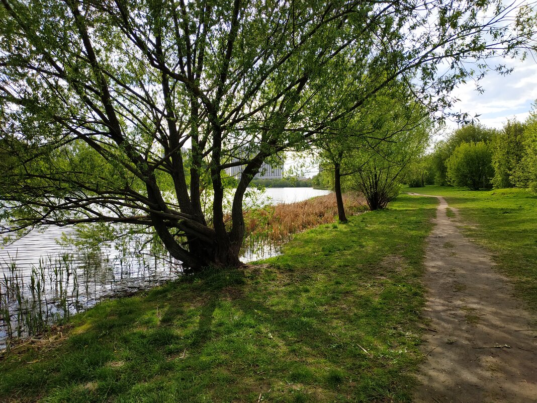 * * * - Андрей Лукьянов * * * - Андрей Лукьянов