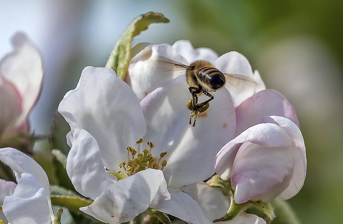 С полными баками - Валерий Иванович С полными баками - Валерий Иванович