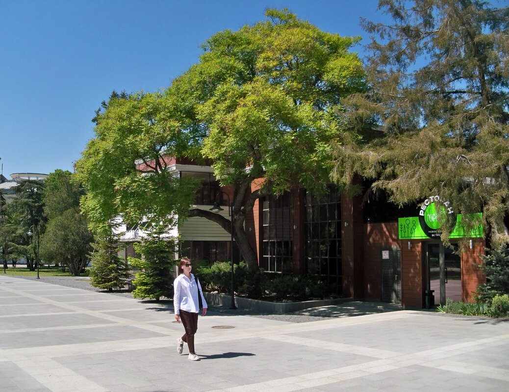 Девушка в парке - Валентин Семчишин