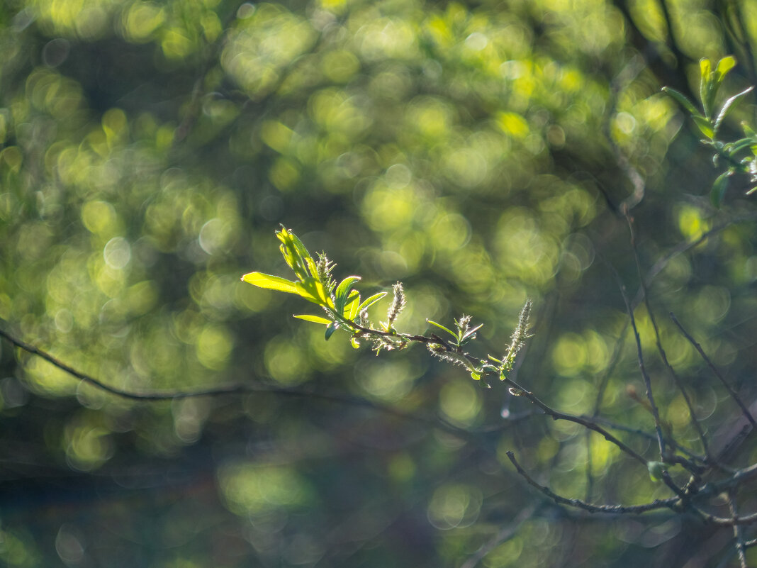 ___ - Yuriy V ___ - Yuriy V