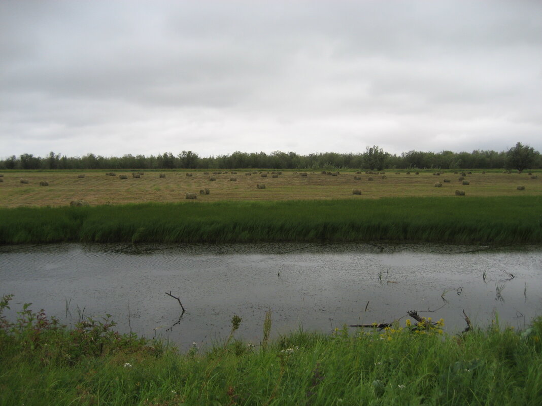 Лето - Anna Ivanova