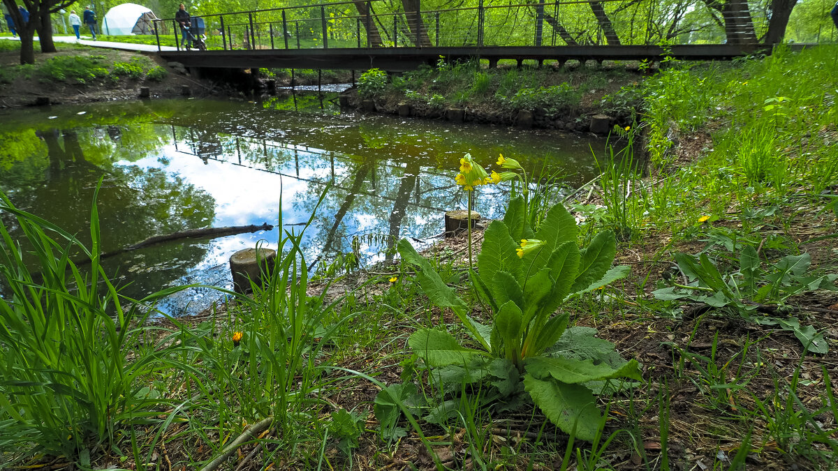 ***** - юрий поляков