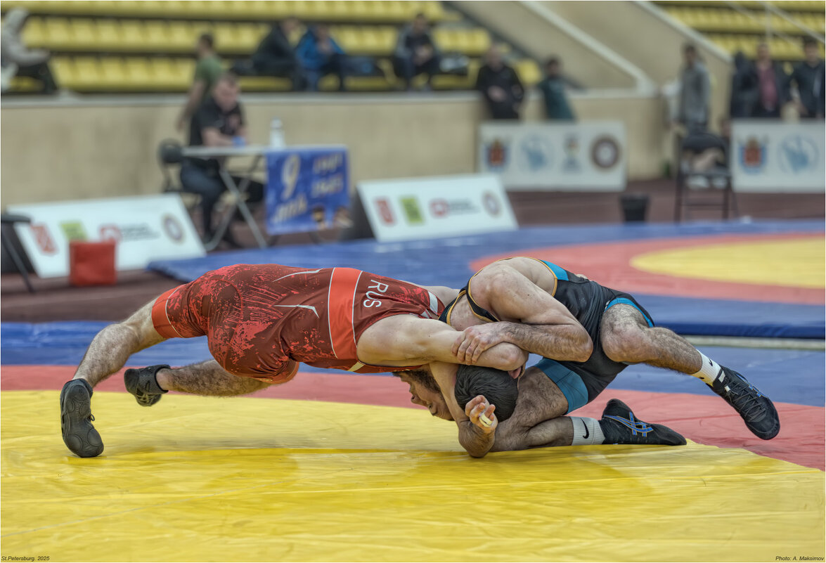 Вольная борьба. - Александр Максимов Вольная борьба. - Александр Максимов