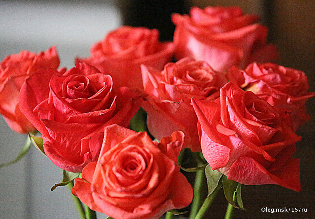 цветы для любимых - Олег Лукьянов