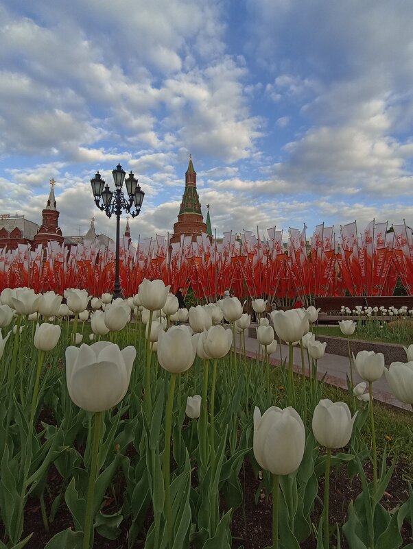 Предпраздничная Москва. - Pippa Предпраздничная Москва. - Pippa