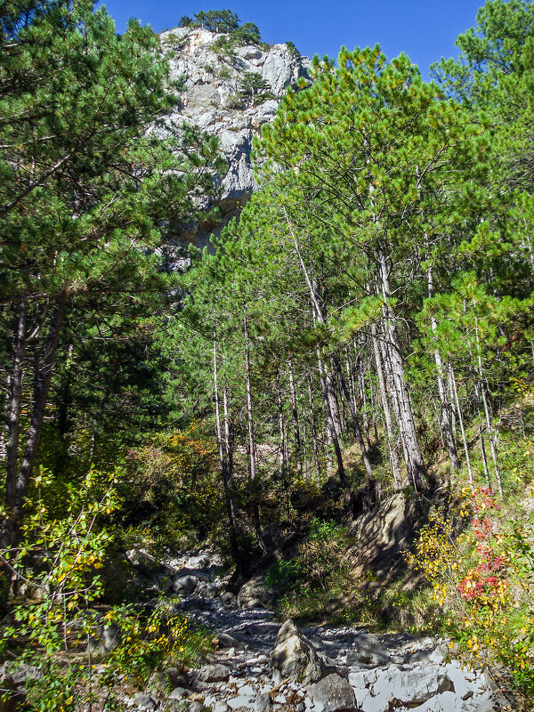 Уч-Кош - Варвара 