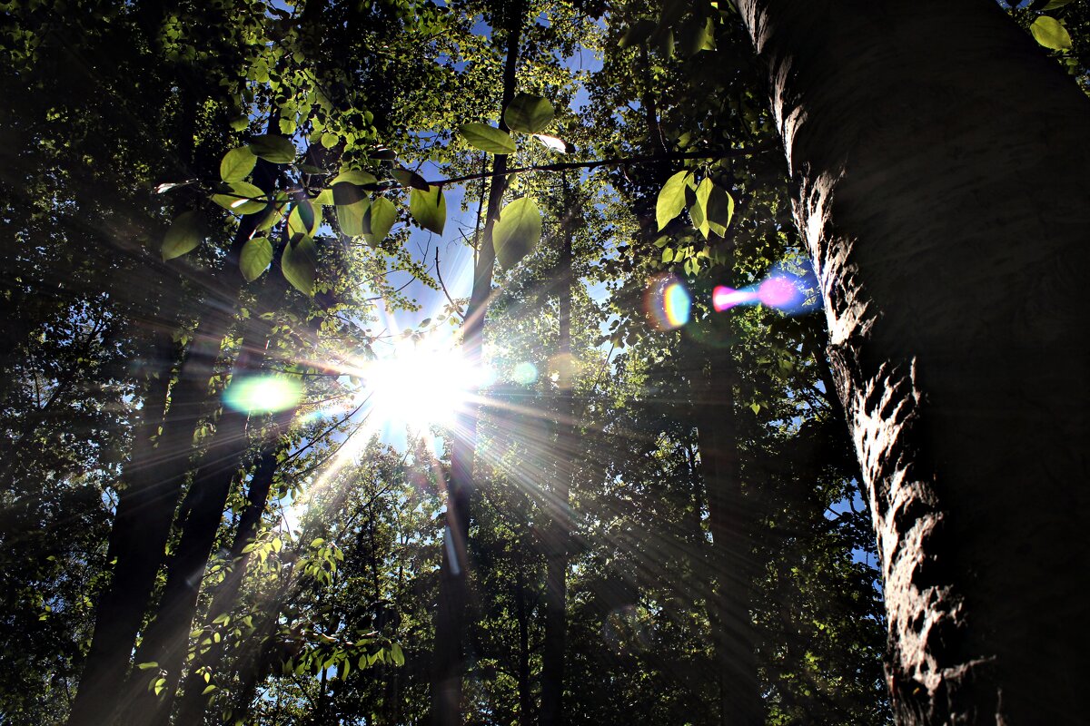 Игра света - Марсель Валеев