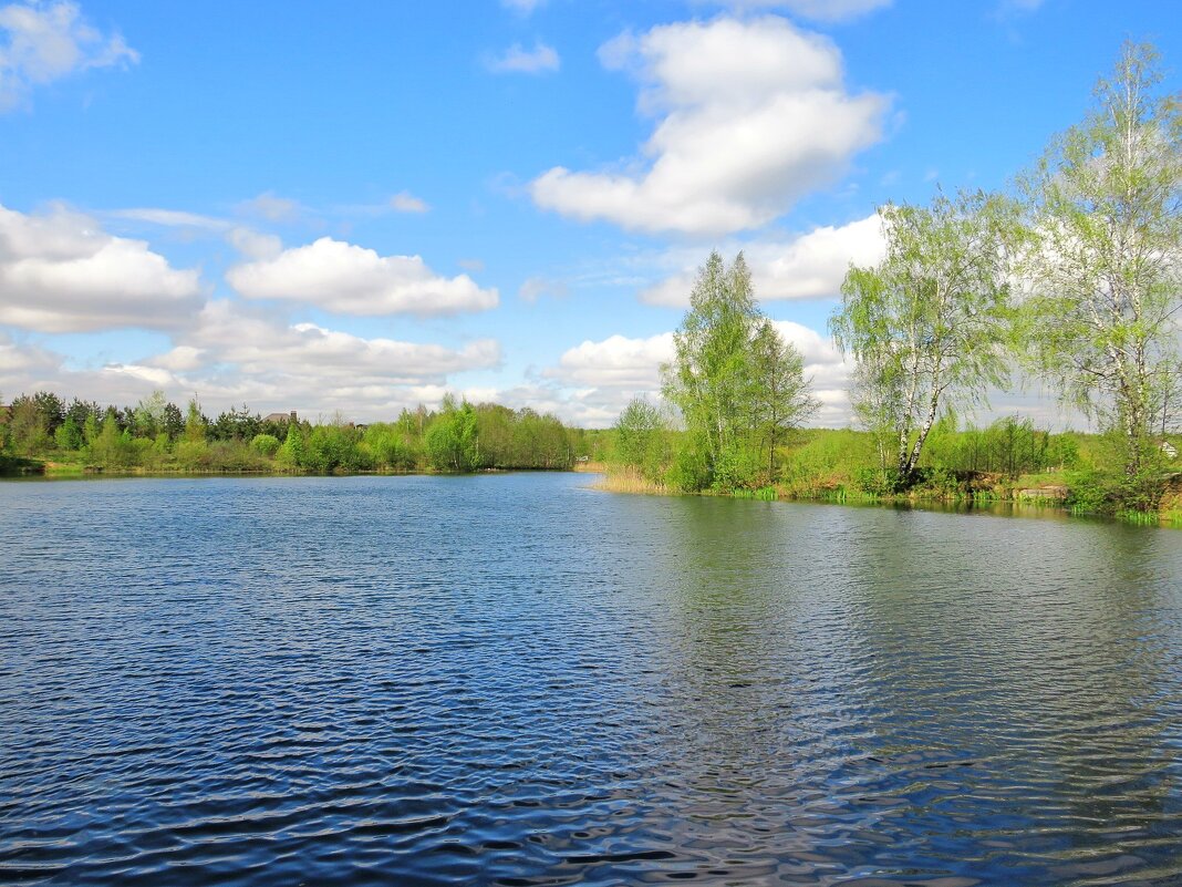 Волны на озере - Андрей Снегерёв Волны на озере - Андрей Снегерёв