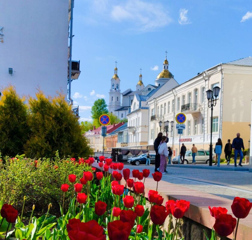 Тюльпановый город - Галина Бобкина