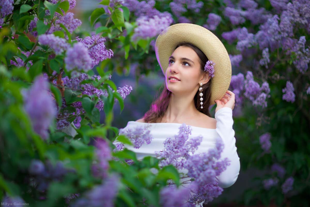 Сирень - Mitya Galiano