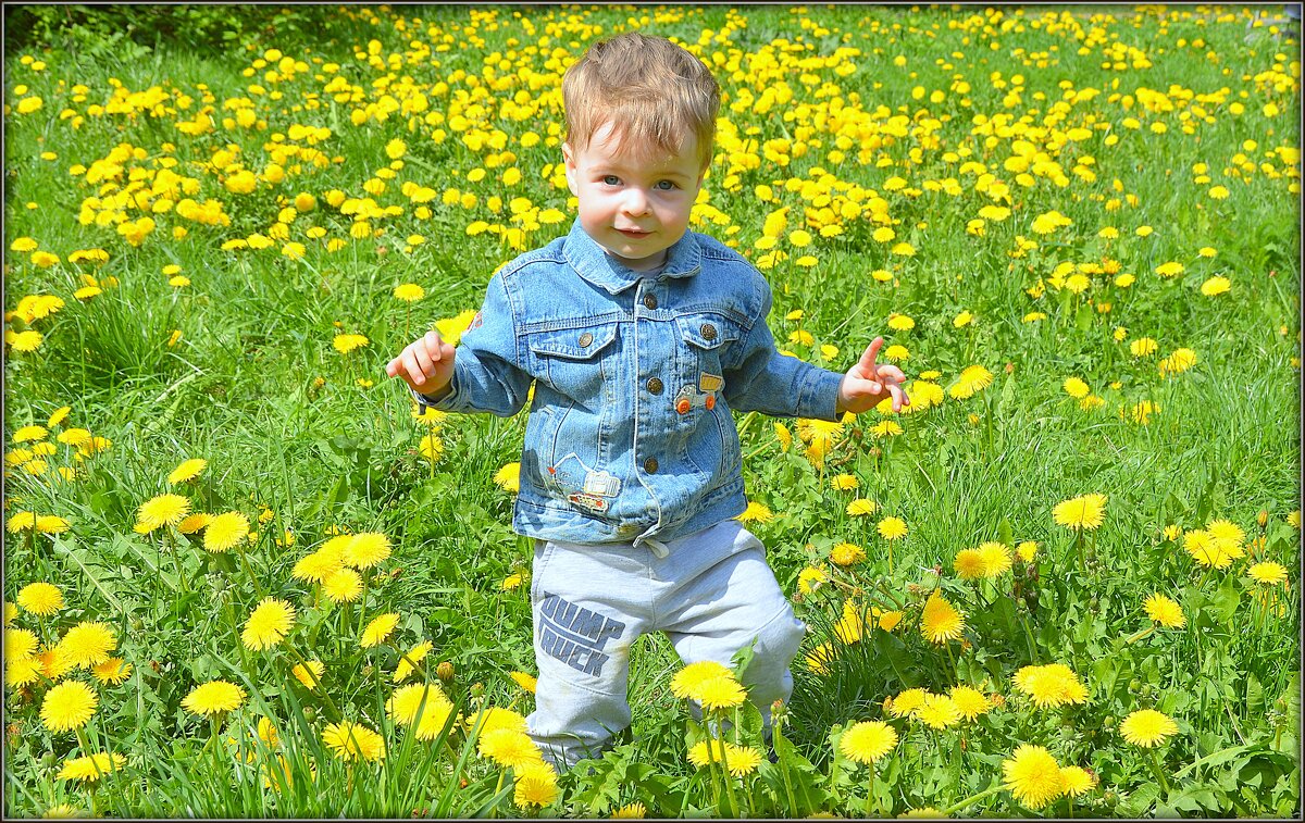 На цветочном поле - Mike Collie