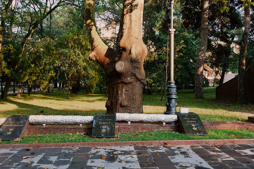 **** - Владимир Башко