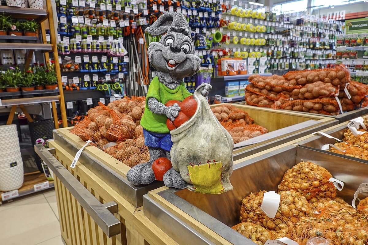 Позитивный зайчишка - Валерий Иванович Позитивный зайчишка - Валерий Иванович