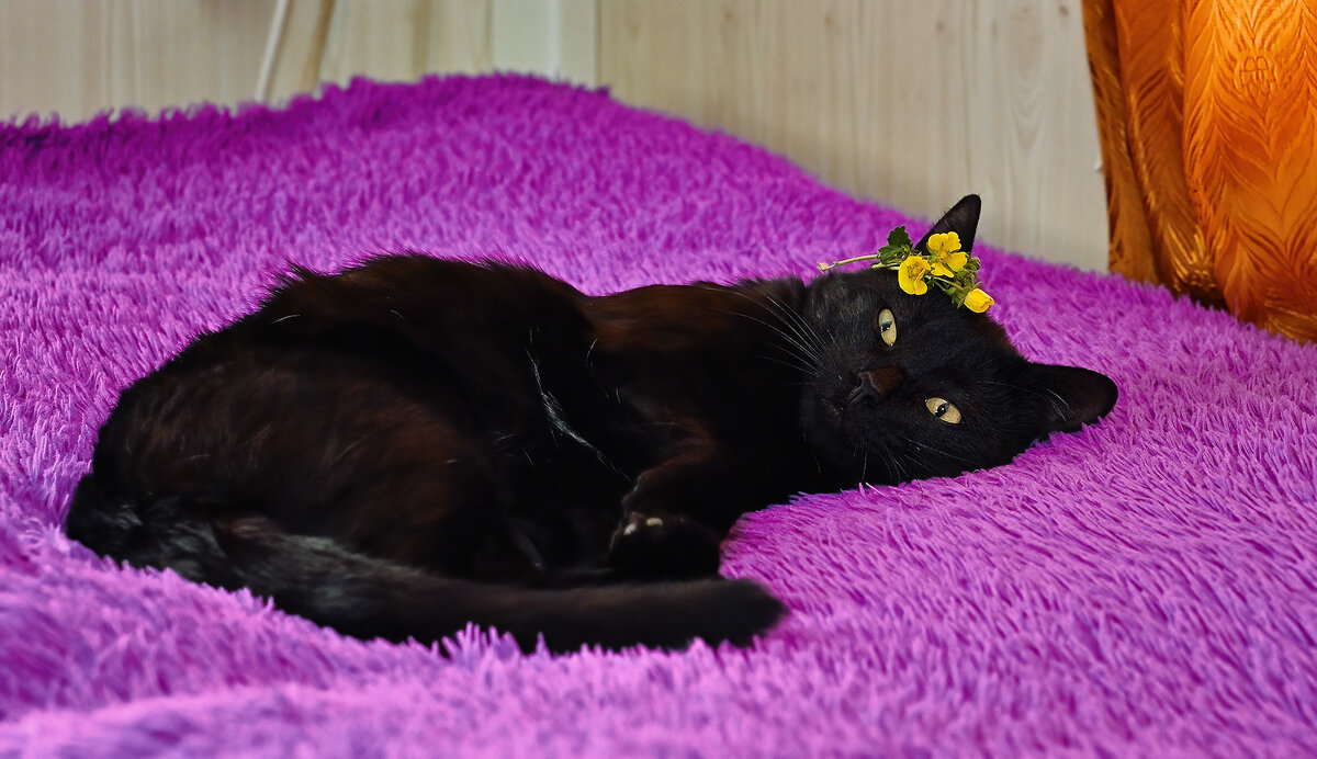 Уголёчек ... - Евгений Хвальчев Уголёчек ... - Евгений Хвальчев