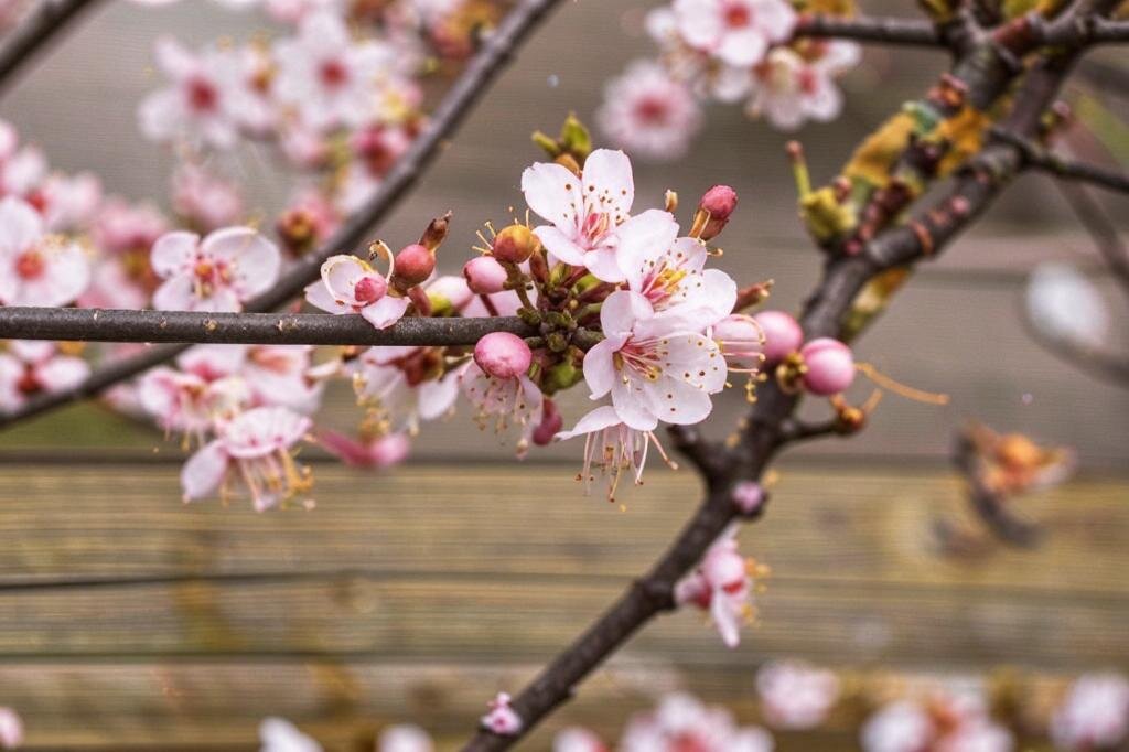 ИИ фрагменты - Роман Савоцкий