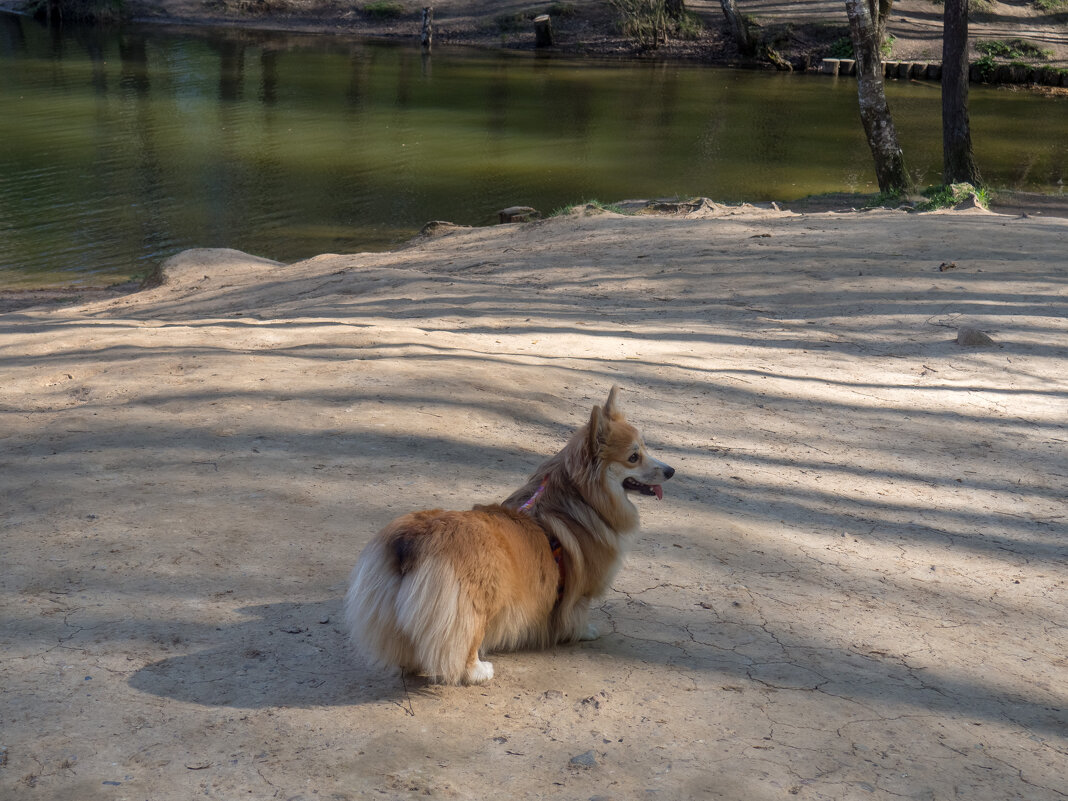 ___ - Yuriy V ___ - Yuriy V