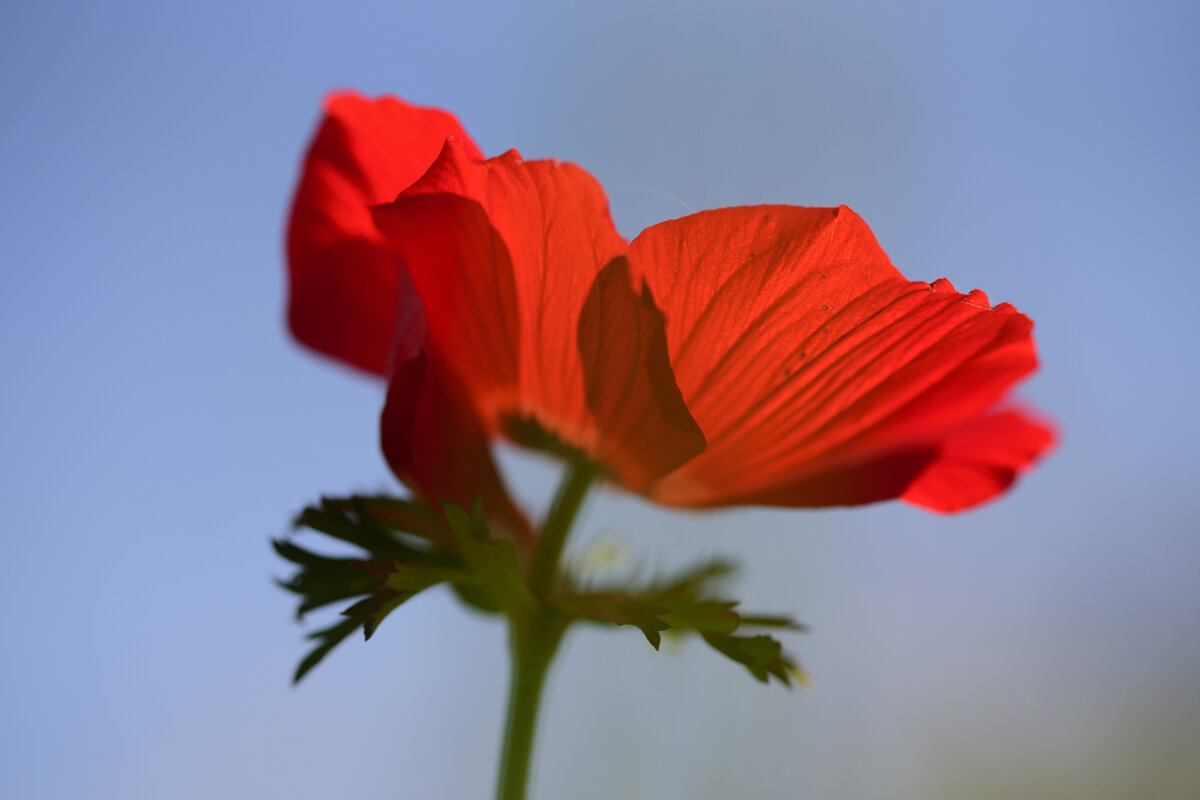 * - Осень * - Осень