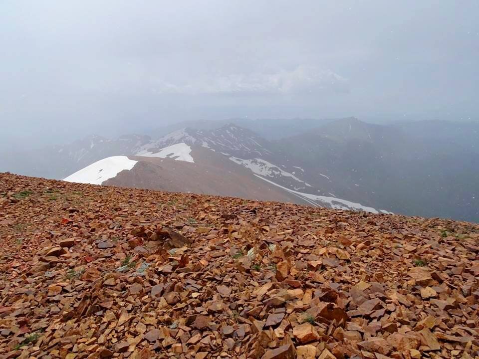 НАШИ ПРОГУЛКИ. - Виктор Осипчук