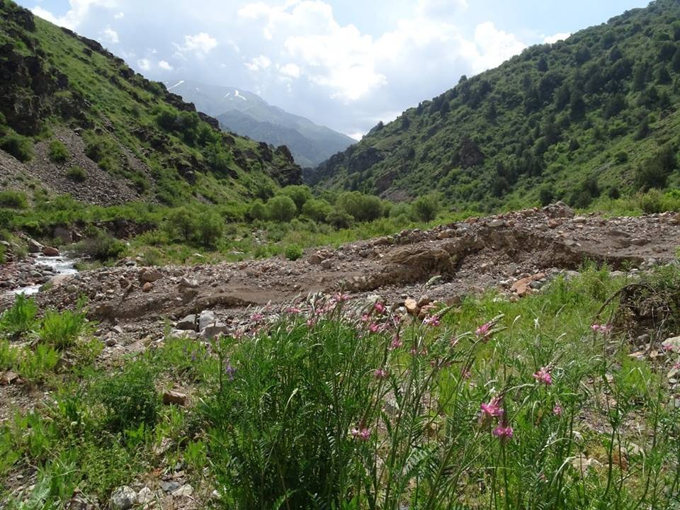 НАШИ ПРОГУЛКИ. - Виктор Осипчук НАШИ ПРОГУЛКИ. - Виктор Осипчук