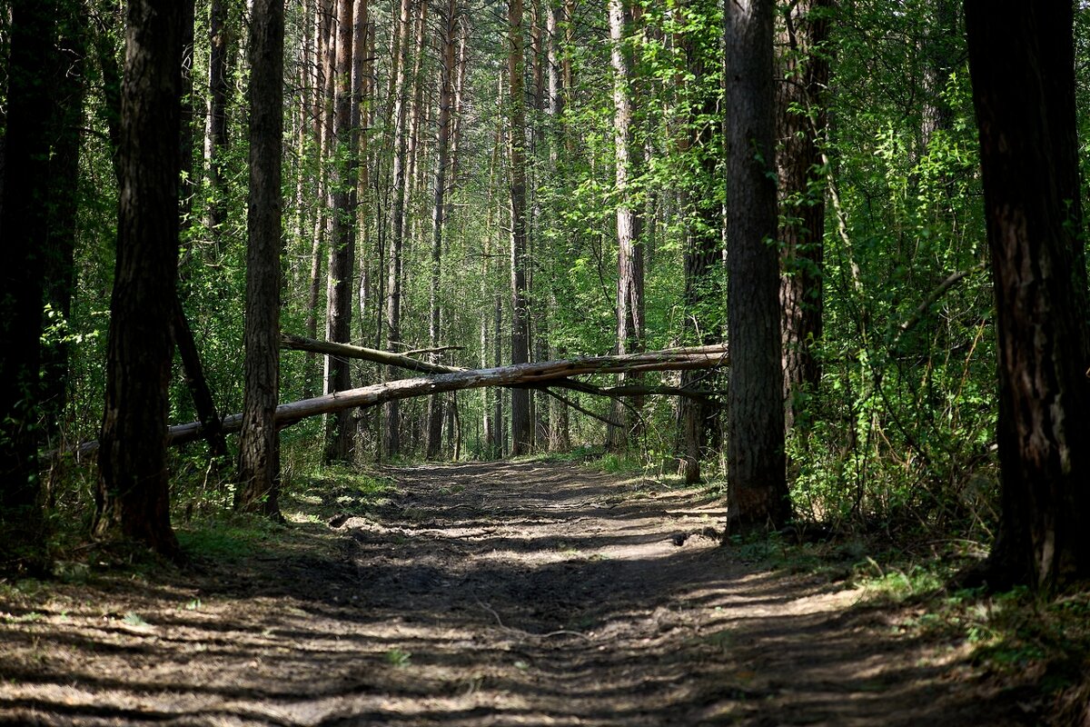 *** - Владимир 