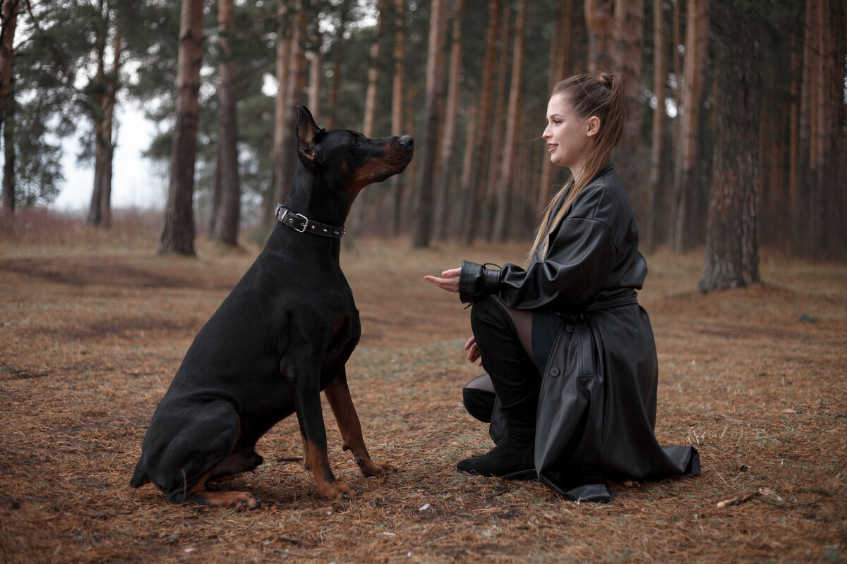 *** - Вячеслав Кривошеин