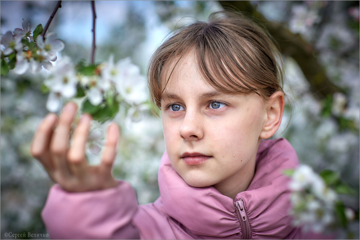 * * * - Сергей Величко * * * - Сергей Величко