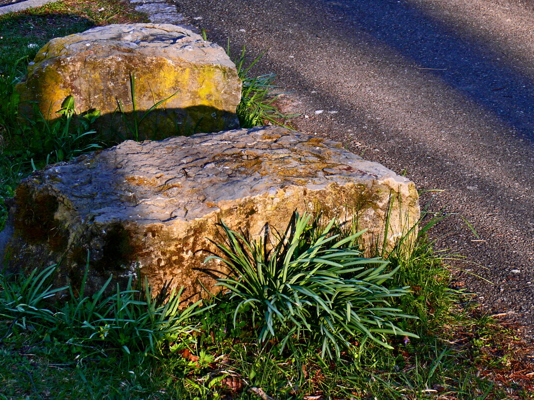 Весенние зарисовки 121 - Алексей Кузнецов