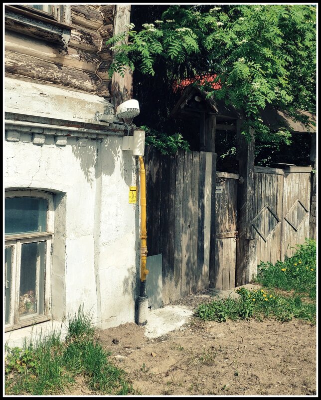 рябина расцвела - Любовь рябина расцвела - Любовь