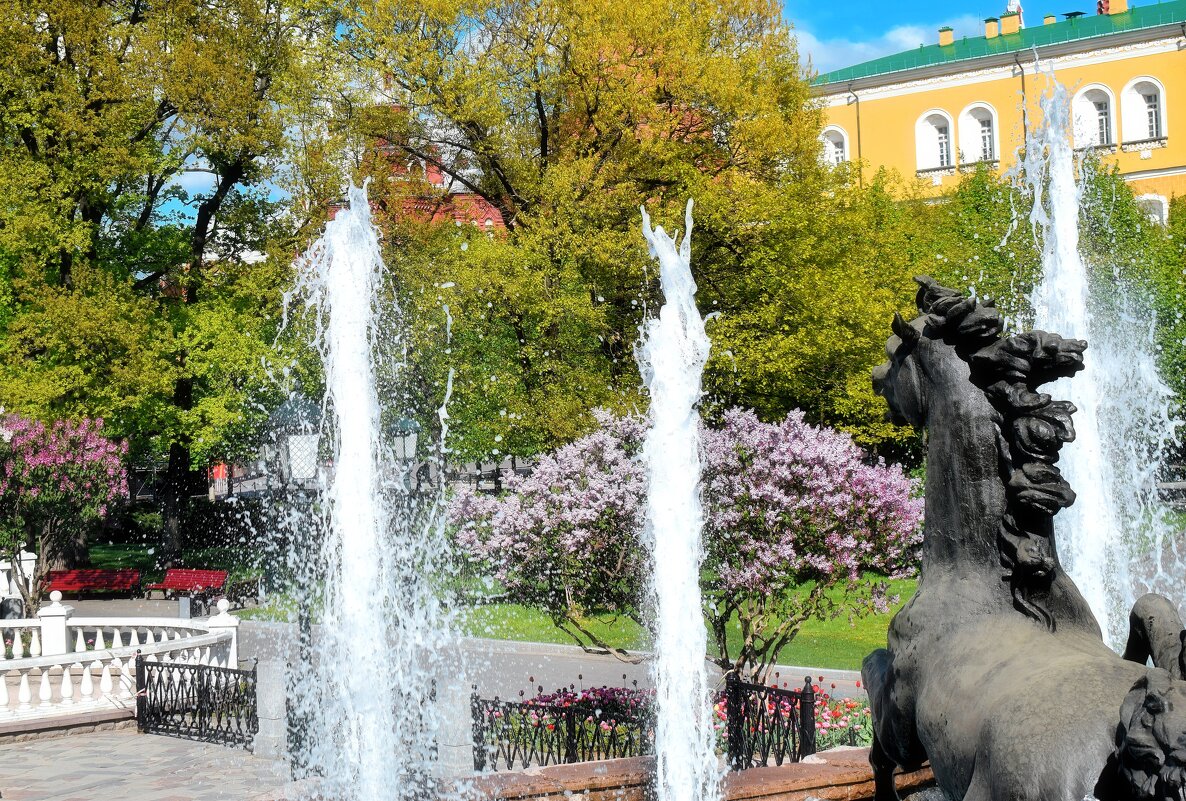 Сезон фонтанов открыт. - Татьяна Помогалова